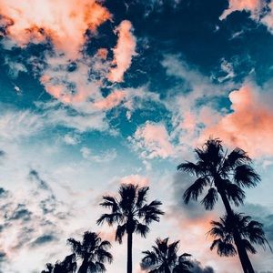 Meet your Posher, Jazmine